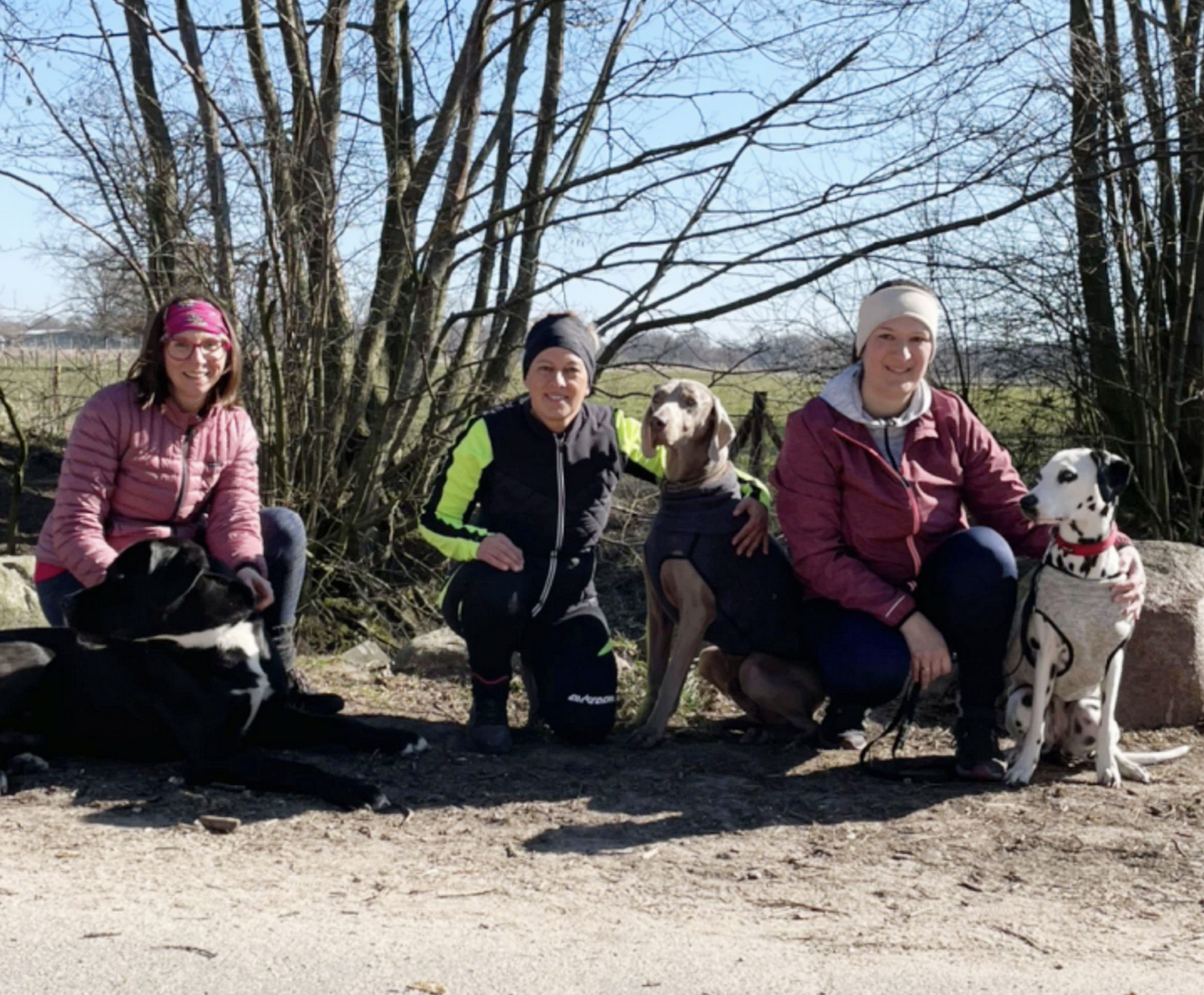 gassifitnesse-Hundegutshof